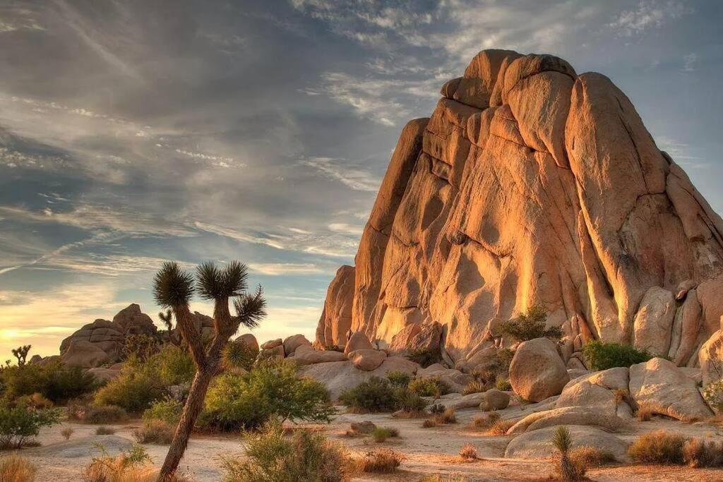 The Desert Nomad Retreat In Joshua Tree Village Exterior photo