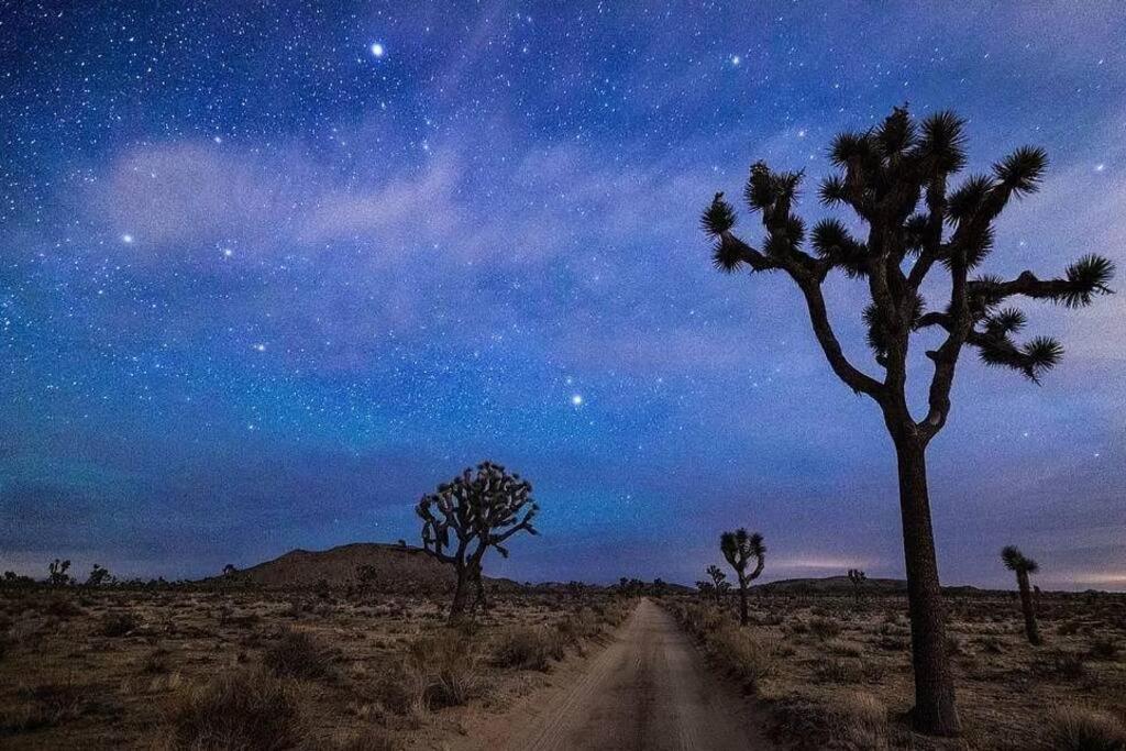 The Desert Nomad Retreat In Joshua Tree Village Exterior photo