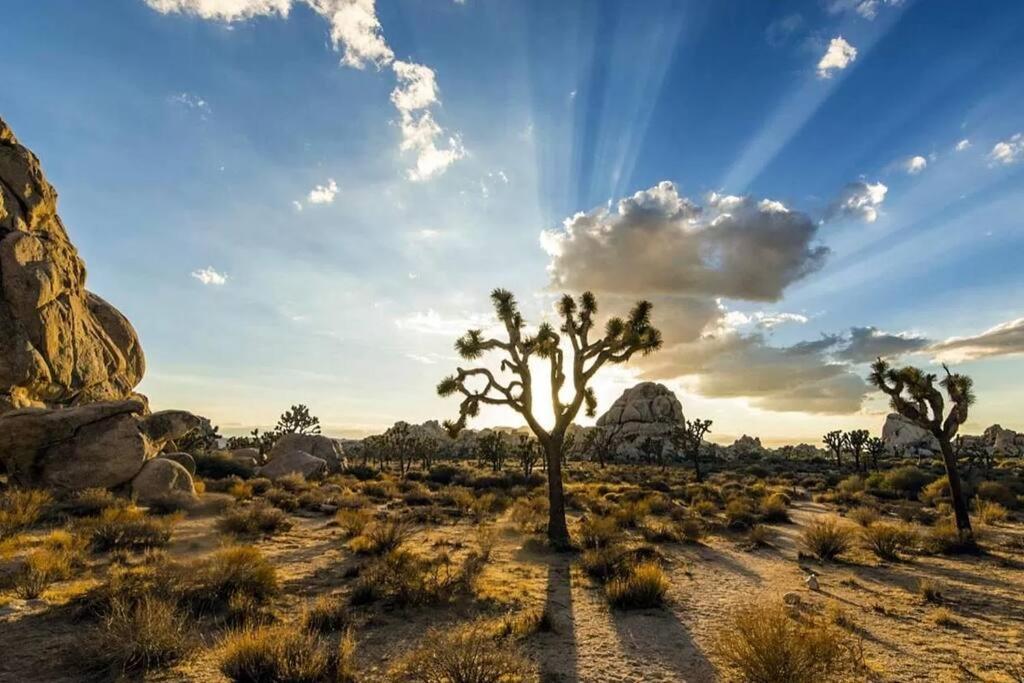 The Desert Nomad Retreat In Joshua Tree Village Exterior photo